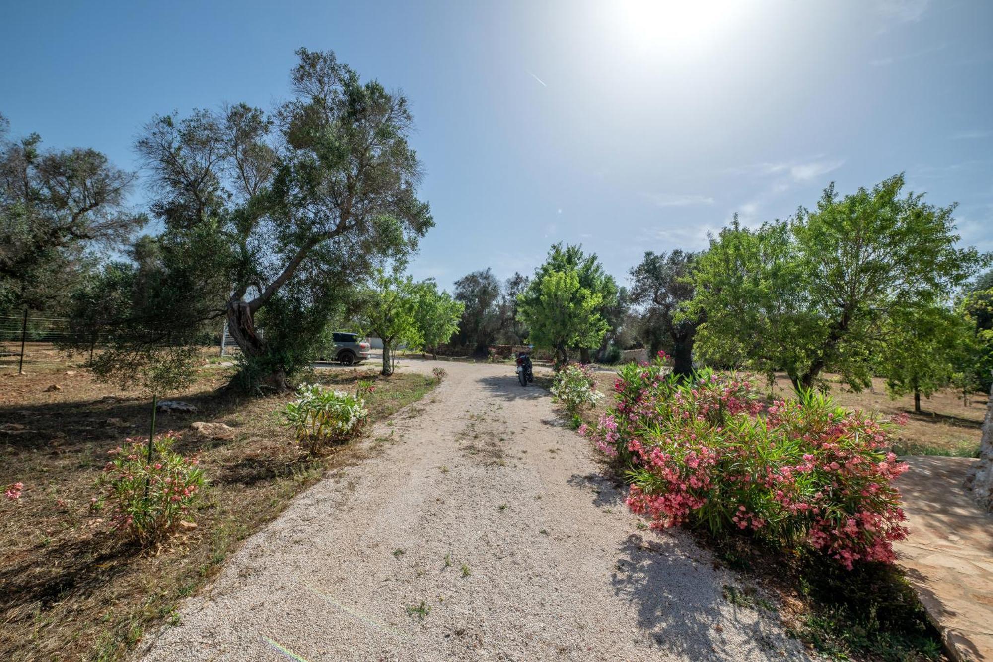 Il Trullo Di Mariangela Villa Ceglie Messapica Eksteriør billede